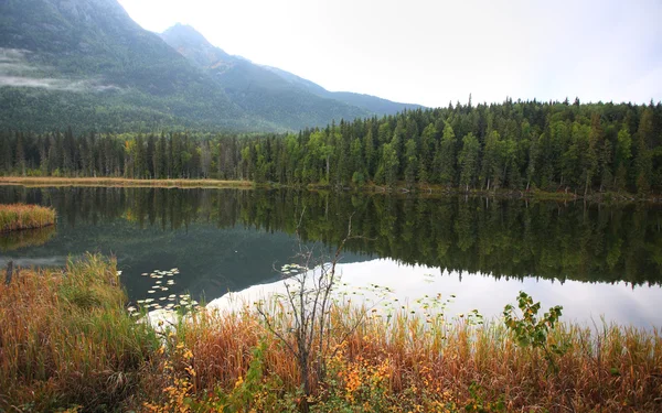 Reflections Mountain Lake British Columbia — Stock Photo, Image