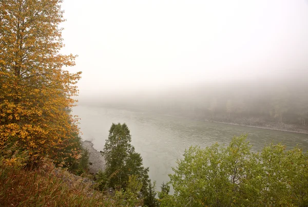 stock image Fog over the Skeena River in British Columbia