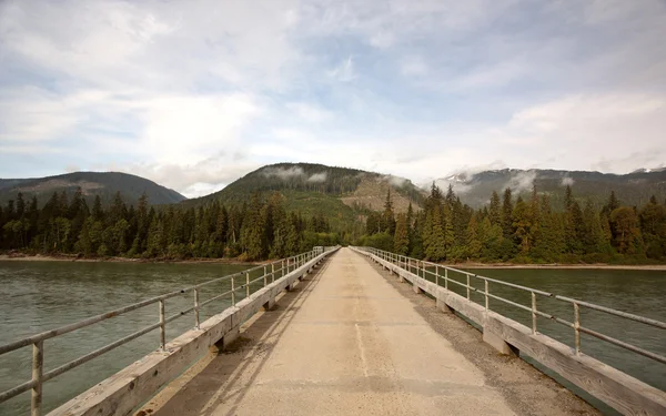 Bridge Skeena River British Columbia — Stock Photo, Image