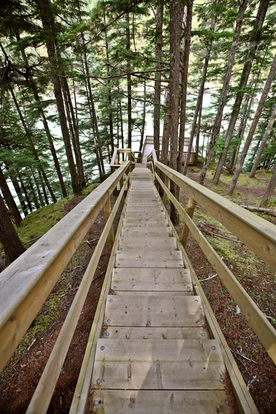 Wooden stairs at Kitsumkalum Provincial Park — Stock Photo, Image