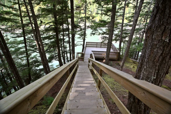 Kitsumkalum 省立公园的木楼梯 — 图库照片