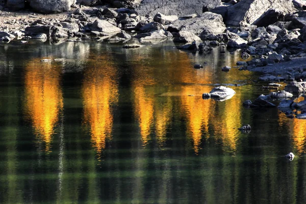 Víz tükrözi az őszi fák, sziklás part mentén — Stock Fotó