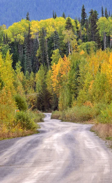 Dağ Yolu Boyunca Sonbaharın Kavak Ağaçları — Stok fotoğraf