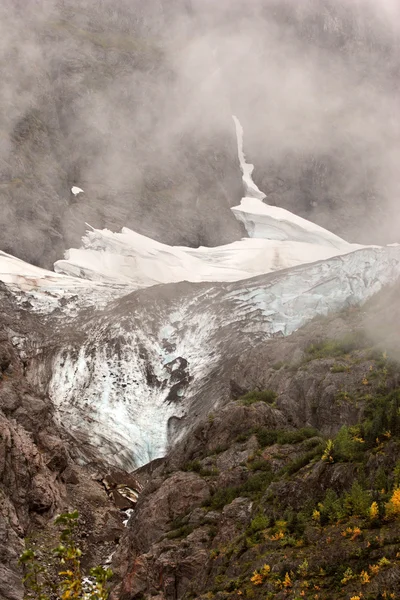 Medve Glacier Nemzeti Parkof Icefield British Columbia — Stock Fotó