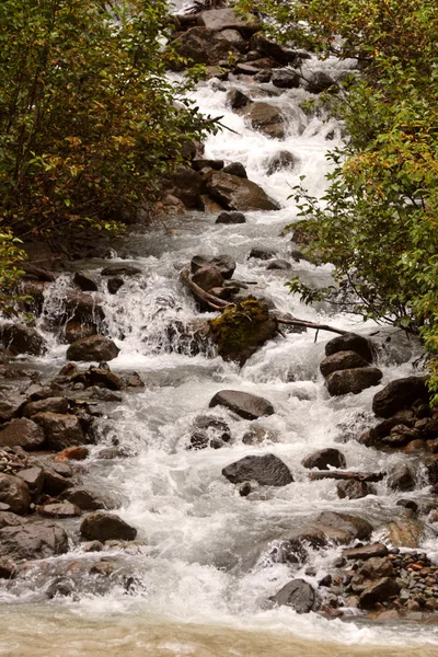 ブリティッシュ コロンビア州で迅速な流れ山 — ストック写真