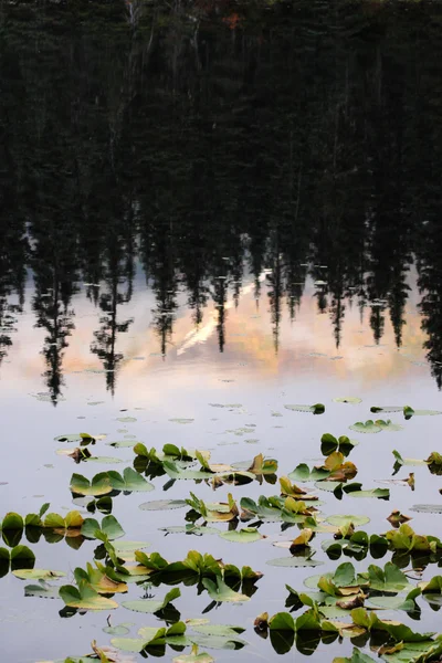 Lagoa Reflexão Montanha — Fotografia de Stock