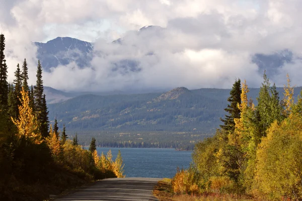 Aspens de color otoñal a lo largo de la carretera Columbia Británica —  Fotos de Stock
