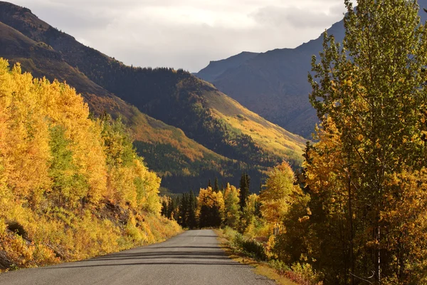 不列颠哥伦比亚省道沿线在秋季彩色的白杨树 — 图库照片