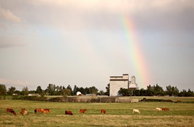 Gökkuşağı bengough saskatchewan dokunmadan