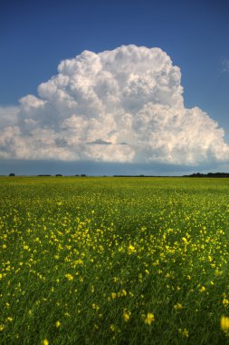 fırtına bulutları saskatchewan içinde