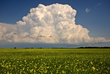 fırtına bulutları saskatchewan içinde