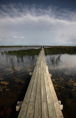 tahta geçen dağ wildlife refuge, su üzerinde