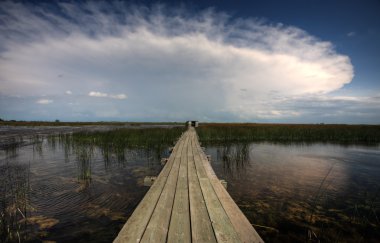 tahta geçen dağ wildlife refuge, su üzerinde