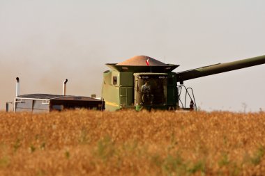 Saskatchewan hasat zamanı