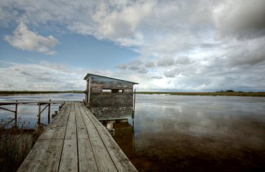 saskatchewan bataklıklar doğal görünümü