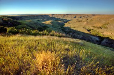 doğal saskatchewan coulee