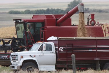 Saskatchewan harvest time clipart