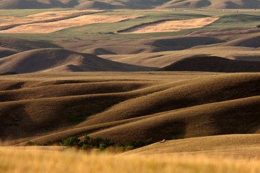 Big Muddy Valley of Saskatchewan clipart