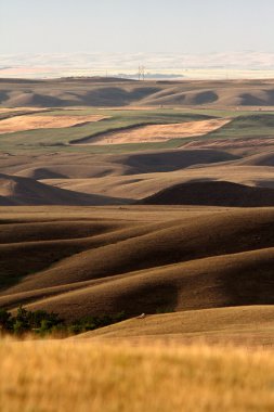 saskatchewan büyük çamurlu Vadisi