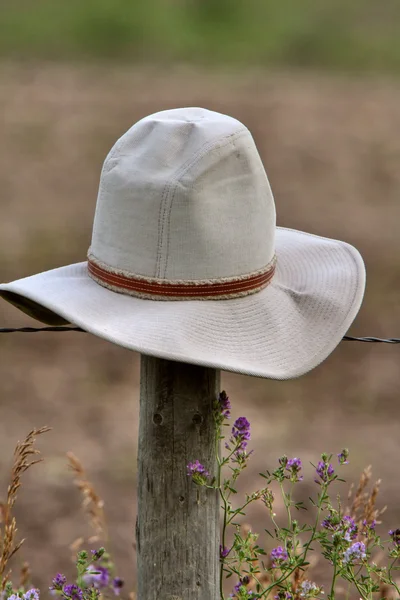 Chapéu Cowboy Pregado Poste Vedação — Fotografia de Stock