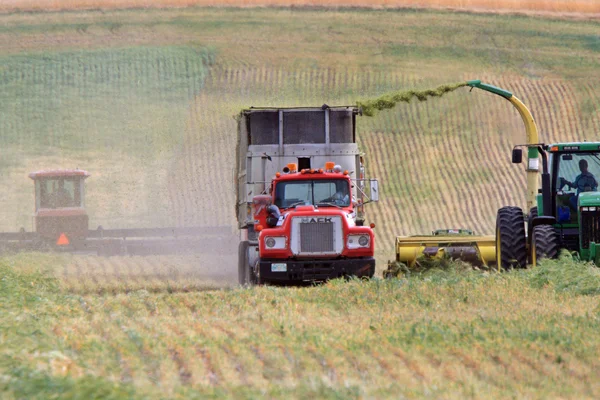 Harvesting Fodder Saskatchewan — Stock Photo, Image