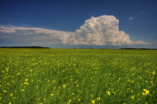 fırtına bulutları saskatchewan içinde