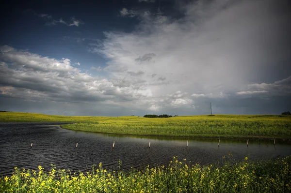 Cultivos de canola alrededor del bache de Saskatchewan — Foto de Stock