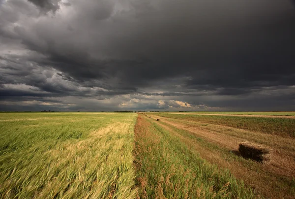Nubes Tormenta Sobre Saskatchewan — Foto de Stock