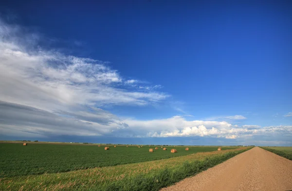 stock image Hay bales in field beside Saskatchewan country road