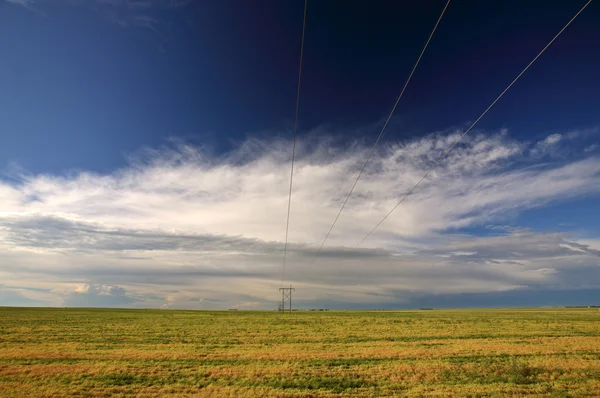 Hydro Electrical Lines Saskatchewan Field — Stock Photo, Image