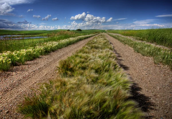 Грозовые Тучи Приближаются Проселочной Дороге Саскачевана — стоковое фото