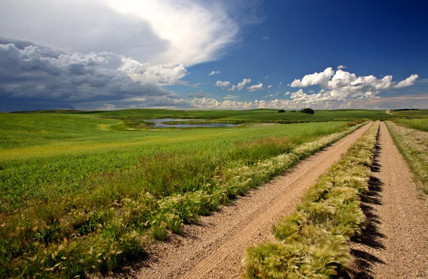 stock image Storm clouds approching Saskatchewan country road