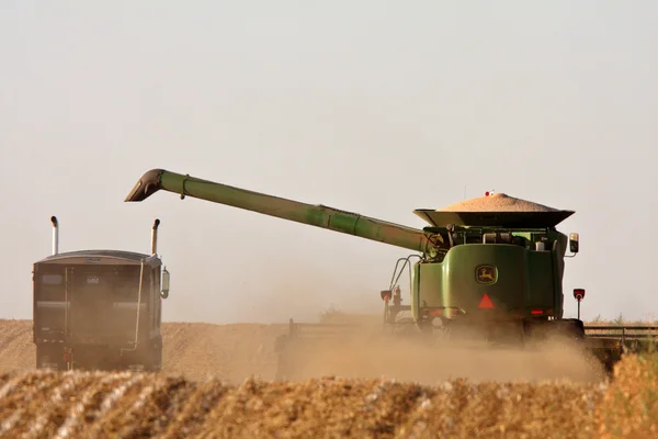 Hora da colheita de Saskatchewan — Fotografia de Stock