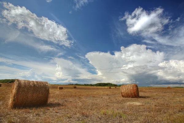 Scenic Saskatchewan countryside — Stock Photo, Image