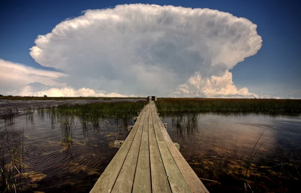 stock image Cloud formations behind waterfowl blind