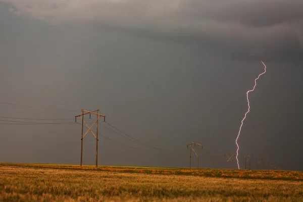 stock image Lightning striking behind Saskatchewan power line