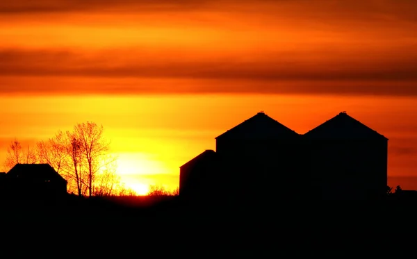 Zapadajícího Slunce Podsvícení Zemědělských Staveb — Stock fotografie