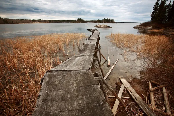 Ερειπωμένες Αποβάθρα Στο Καλάμι Λίμνη Στη Βόρεια Manitoba — Φωτογραφία Αρχείου