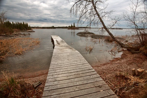 Doca Lago Reed Norte Manitoba — Fotografia de Stock