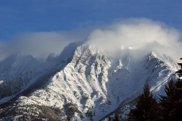 stock image Rocky Mountains in winter