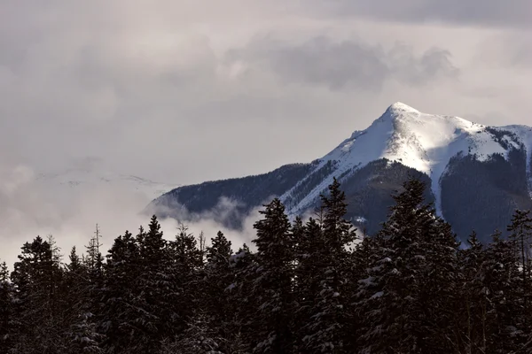 Скалистые горы зимой — стоковое фото