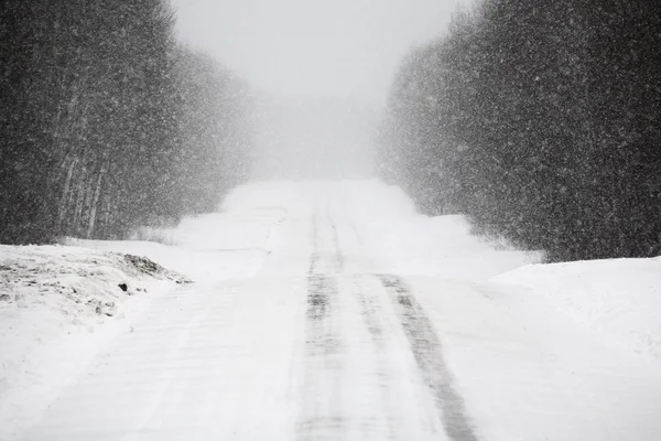 Skogsväg på vintern — Stockfoto