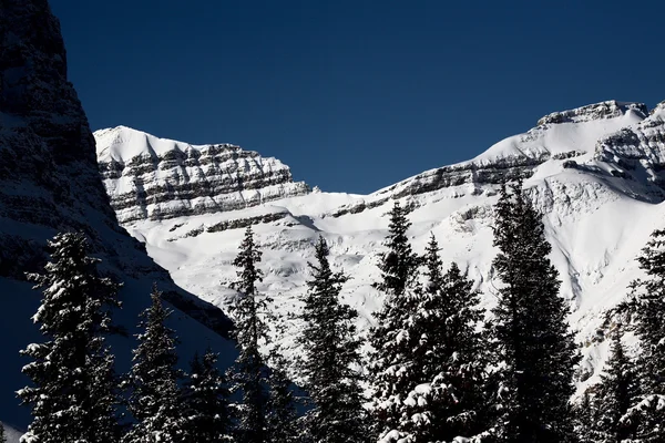 Rocky Mountains in winter — Stock Photo, Image