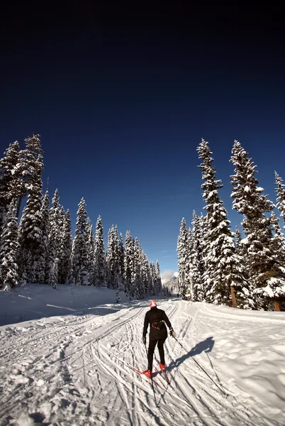 越野滑雪运动员享受冬天 — 图库照片
