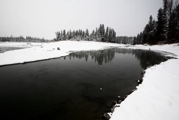 Открытая вода зимой — стоковое фото