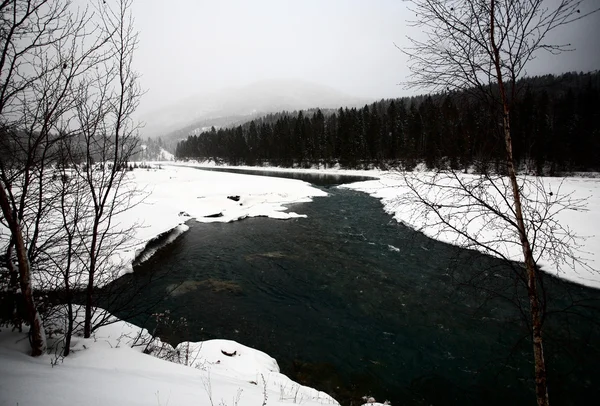 Open water in de winter — Stockfoto