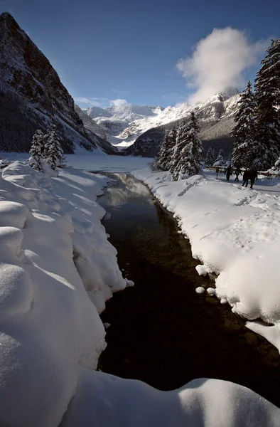Aguas abiertas en invierno —  Fotos de Stock