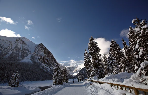 Skalnaté hory v zimě — Stock fotografie