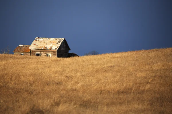 Заброшенный фермерский дом в прериях — стоковое фото