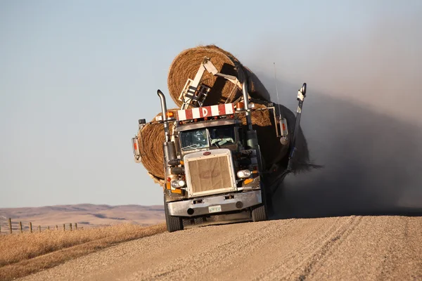 Trucker hauling hay bales